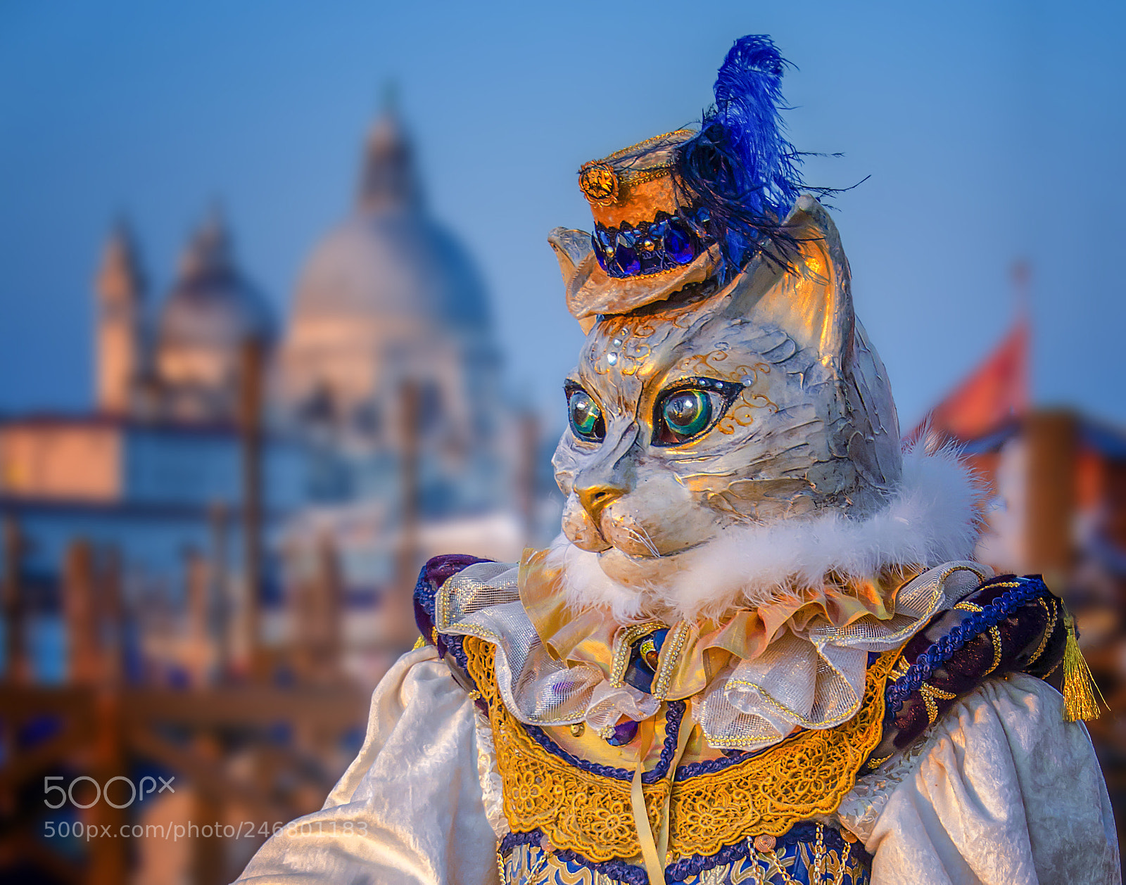 Nikon D5100 sample photo. Carnevale di venezia photography