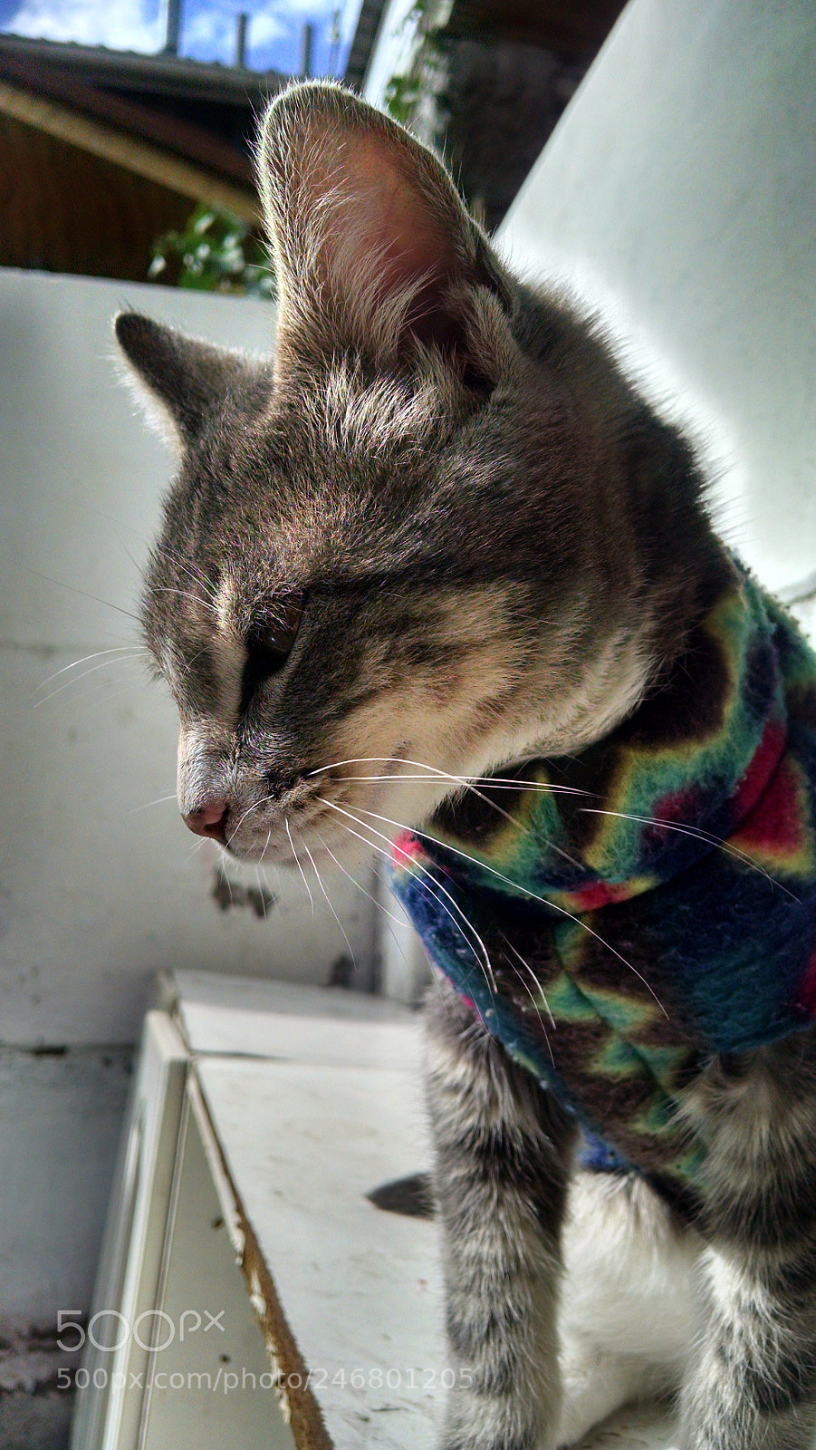 Motorola Moto X (1st Gen) sample photo. Untitled photography