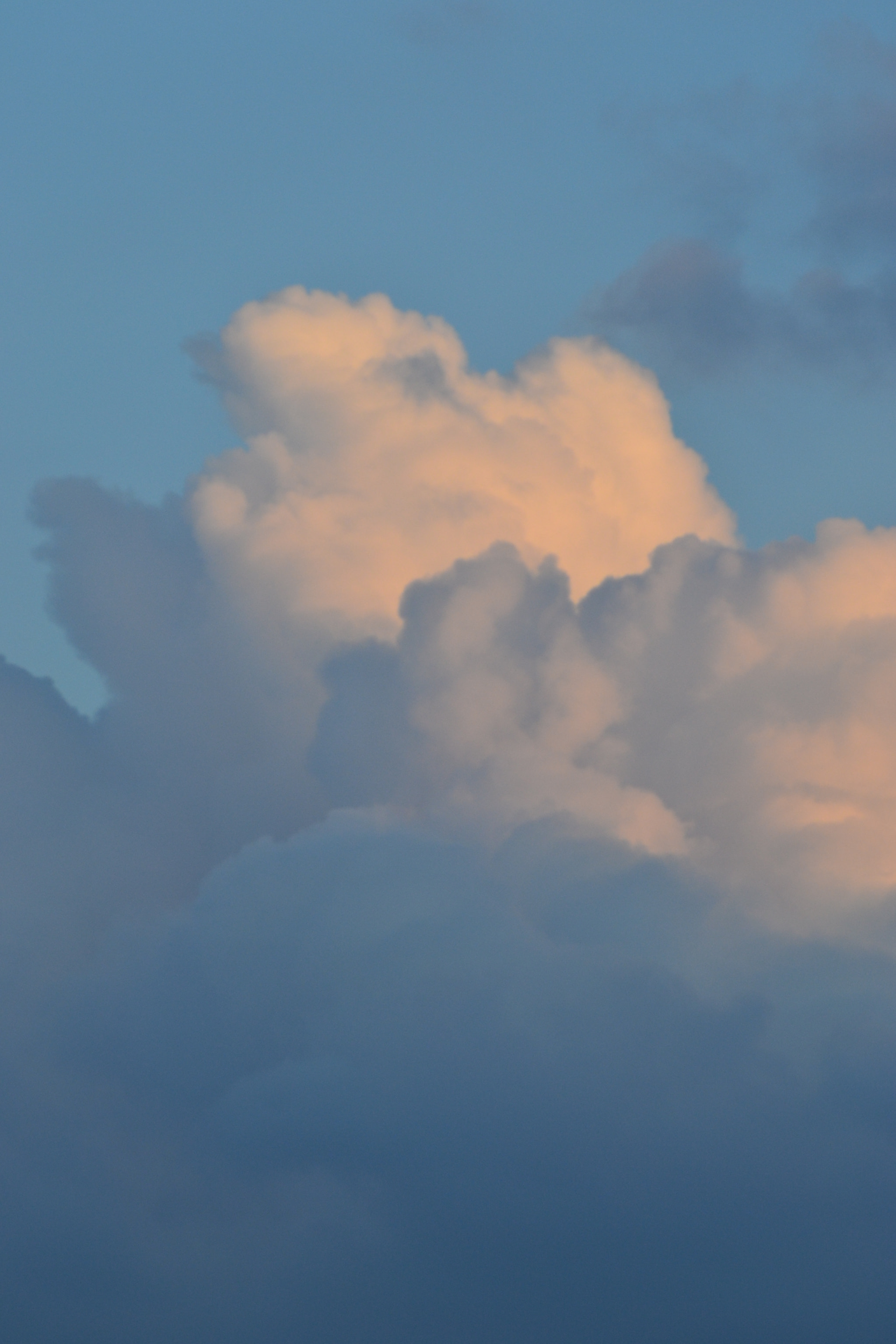 Nikon AF Nikkor 70-300mm F4-5.6G sample photo. Blue monday photography