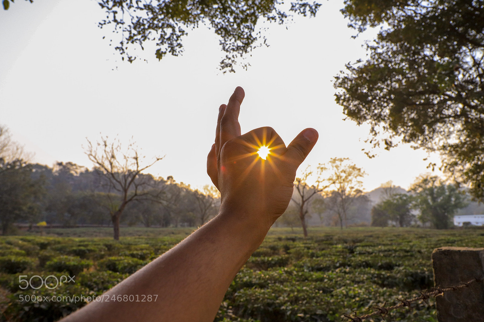 Canon EOS 6D Mark II sample photo. When the sun sets photography