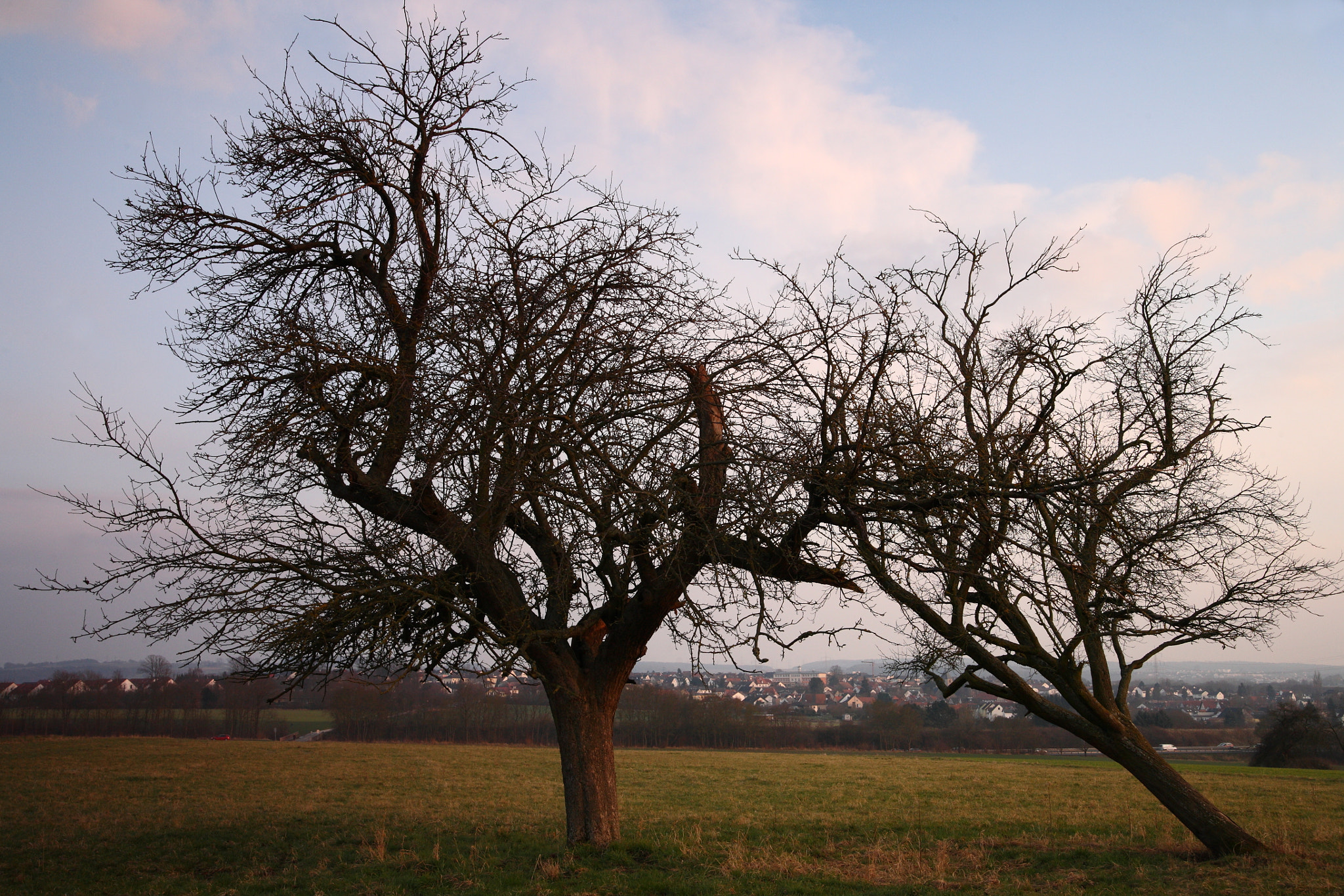 Canon EOS 5D sample photo. The sunset photography