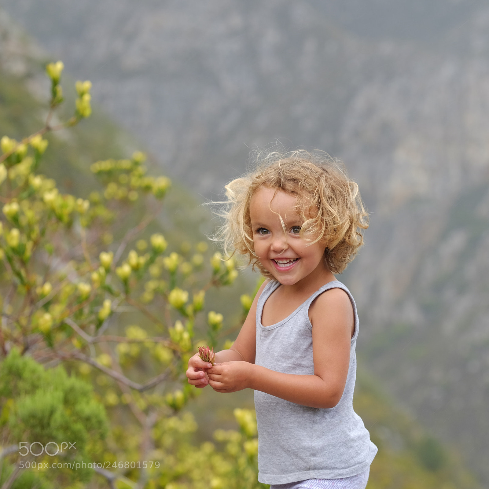 Fujifilm X-T10 sample photo. Wildflowers photography