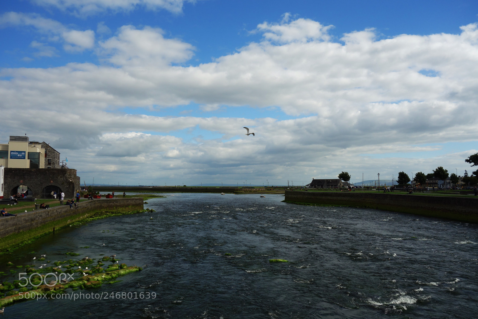 Sony Cyber-shot DSC-RX100 sample photo. Corrib photography