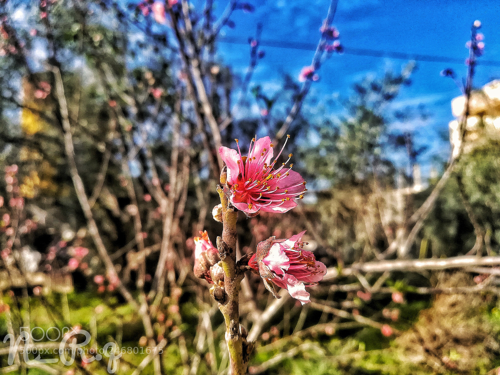 HUAWEI GR5 2017 sample photo. Untitled photography