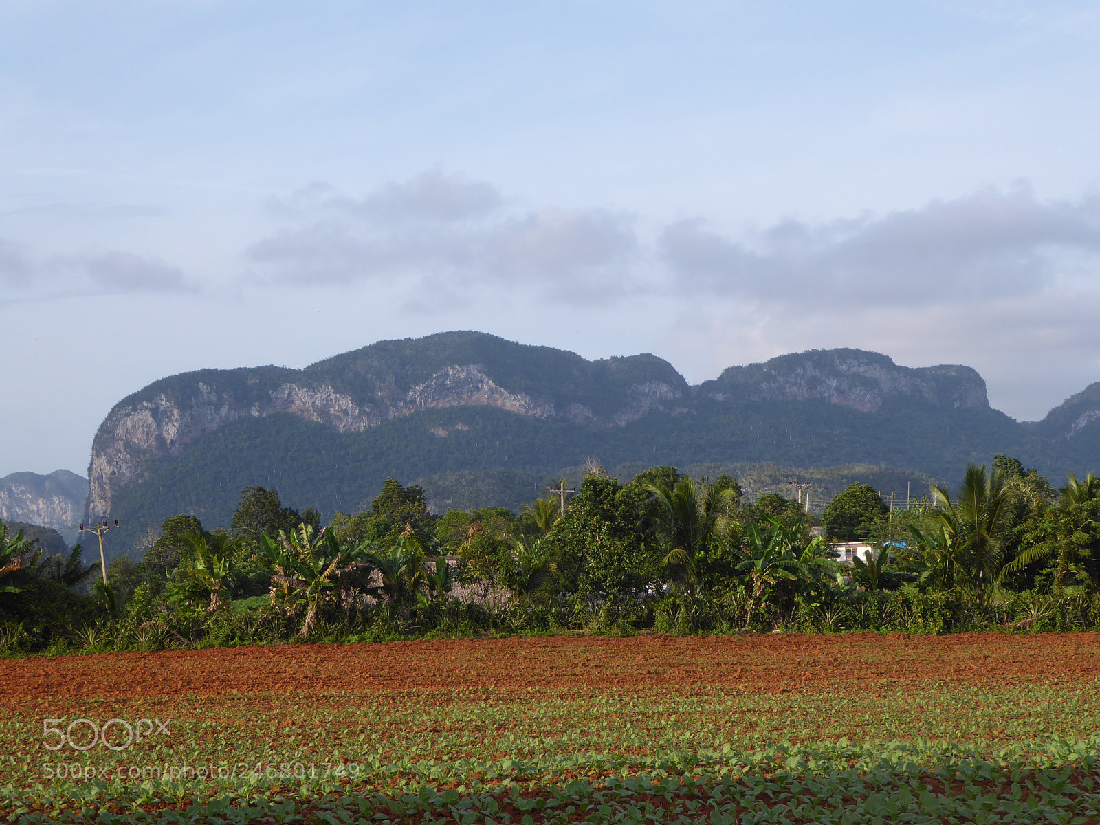 Panasonic DMC-TZ71 sample photo. Vale de vi ales photography