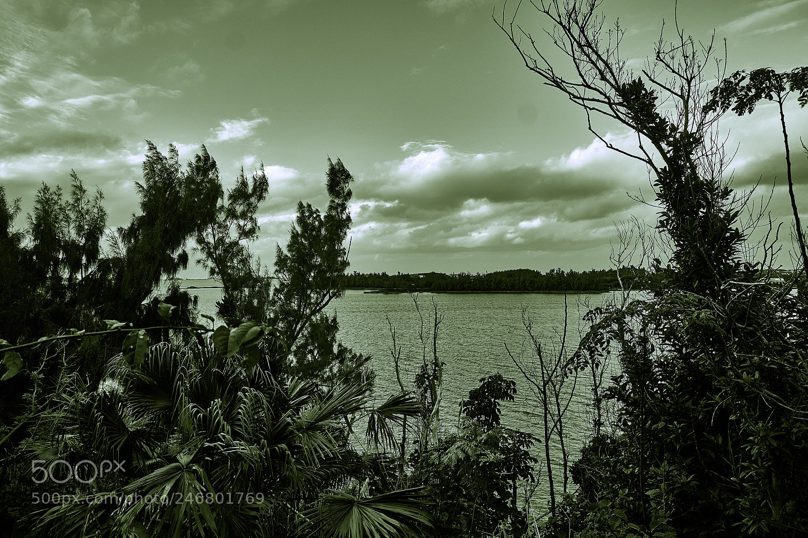Sony a6300 sample photo. Cloud cover photography