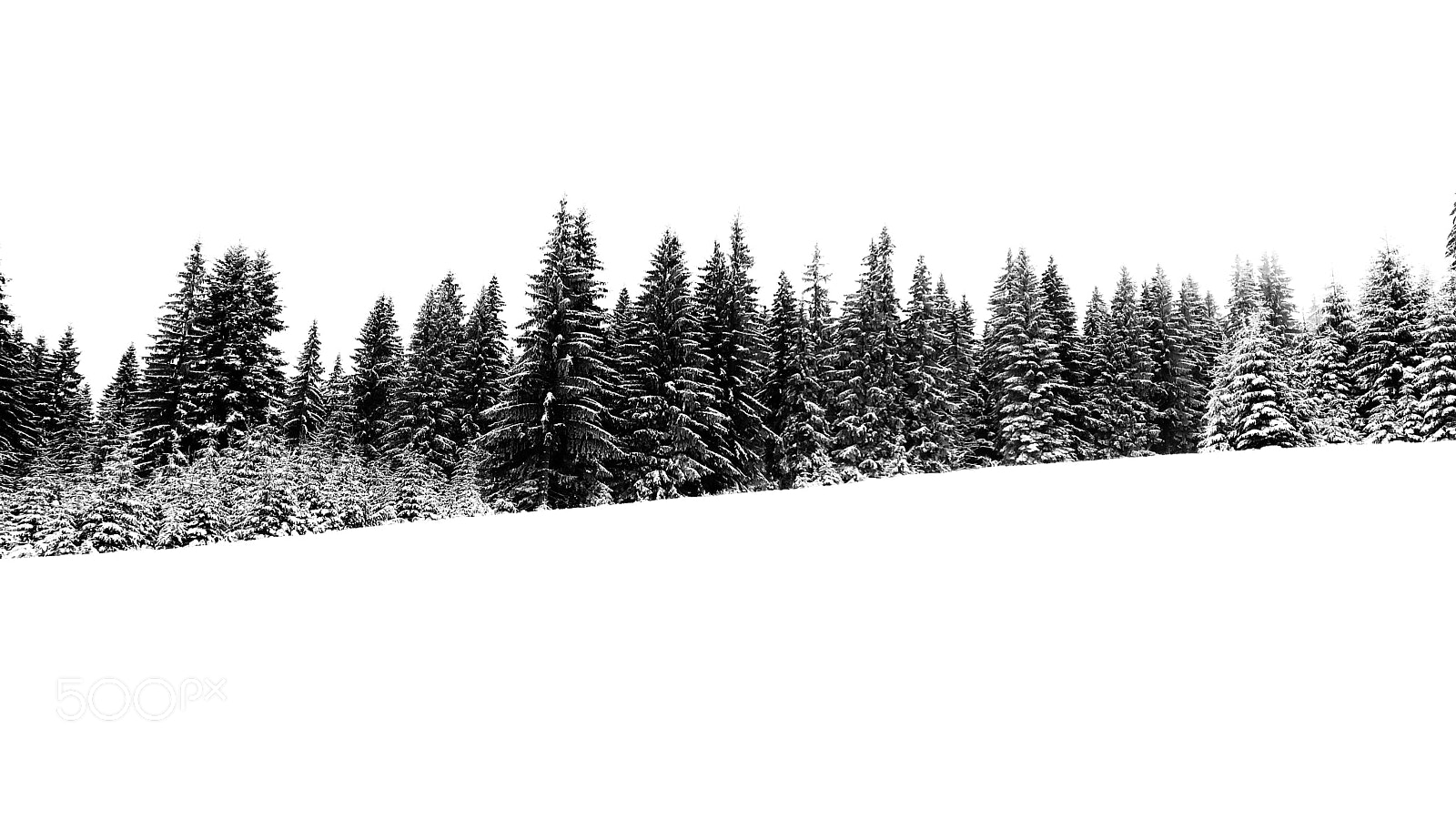 HUAWEI PRA-LX1 sample photo. Snowy contrast landscape photography