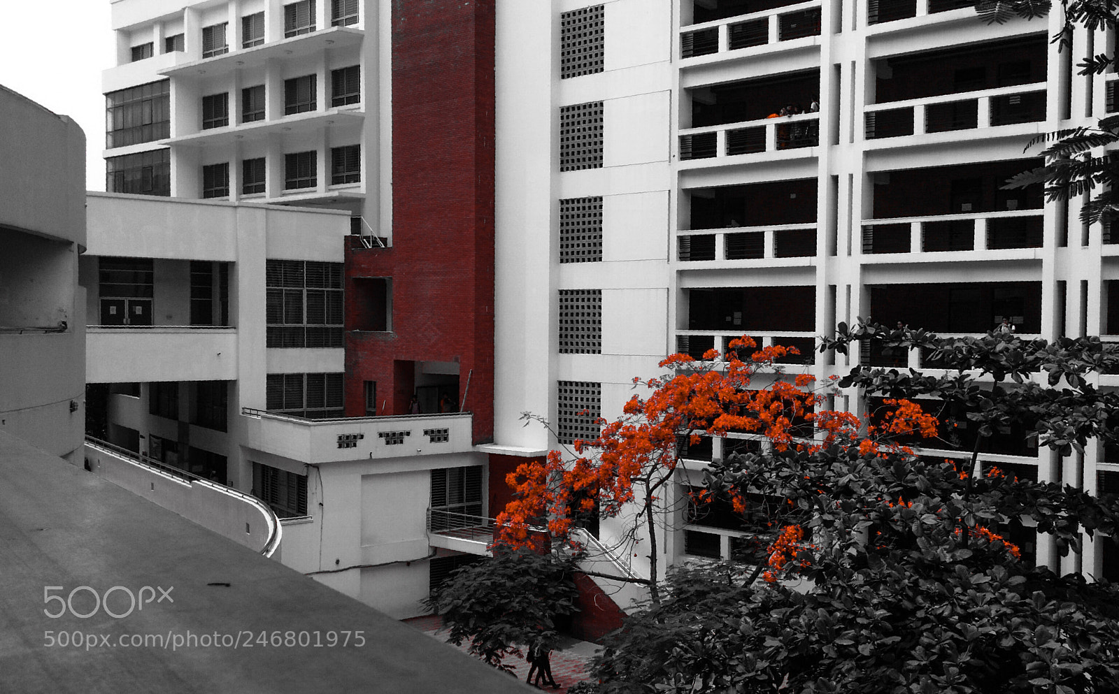 Xiaomi Redmi 4 Pro sample photo. My campus_ photography