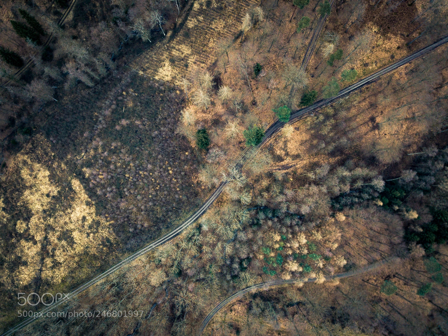 DJI FC220 sample photo. Untitled photography