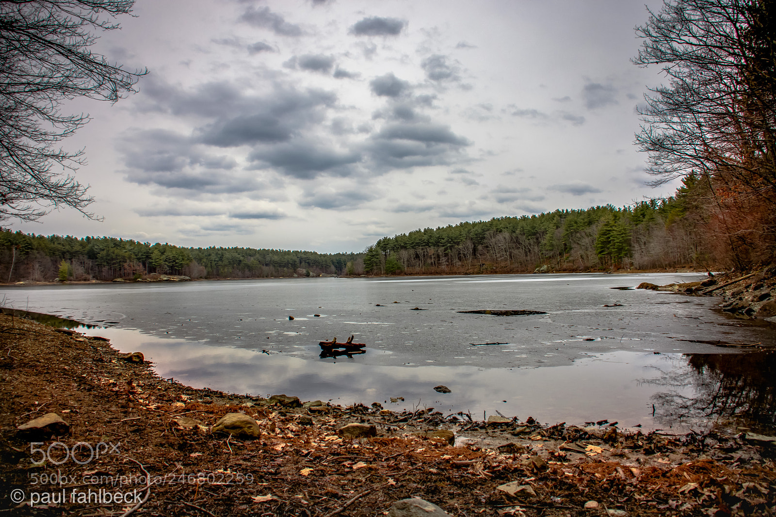 Nikon D7200 sample photo. Untilted11 photography