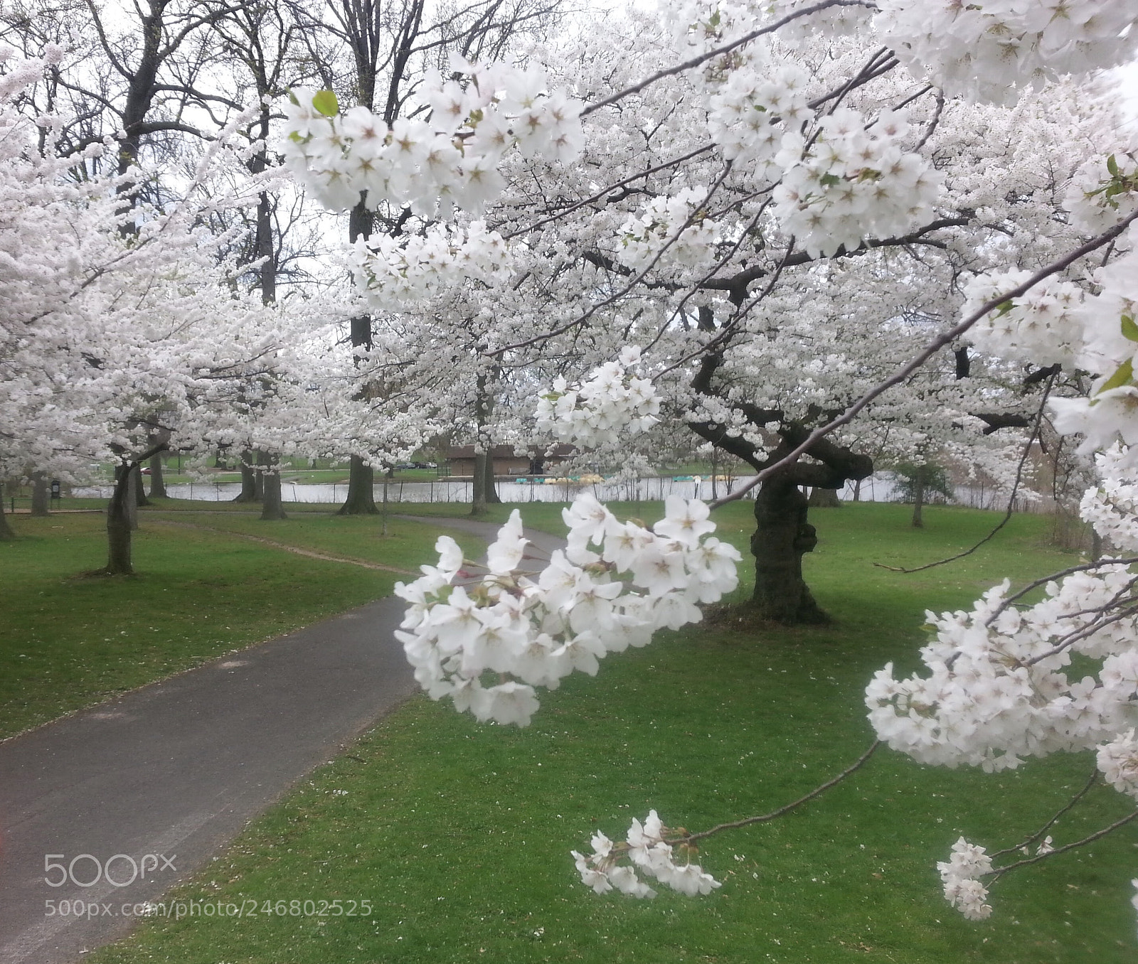 Samsung Galaxy S3 sample photo. Untitled photography