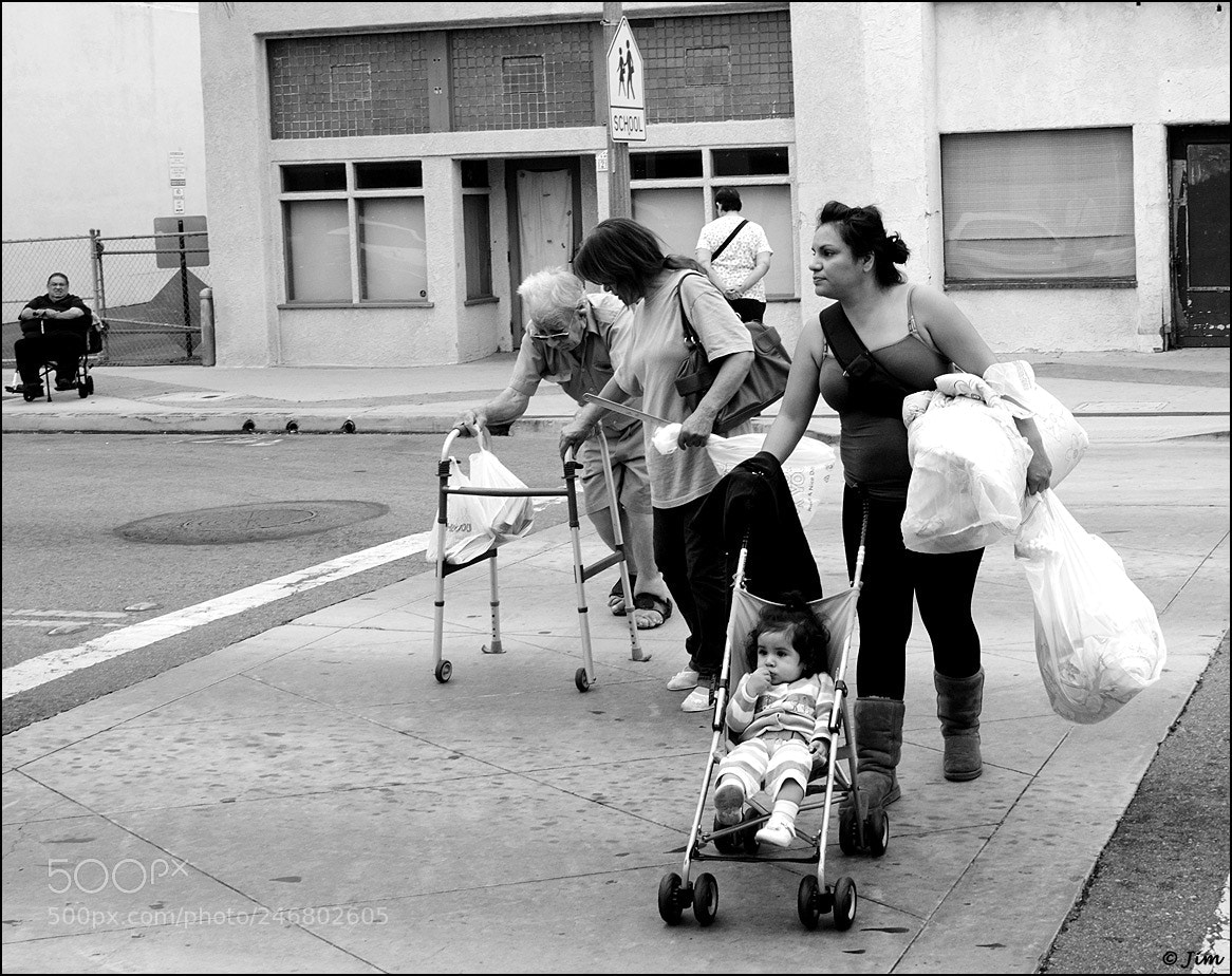 Fujifilm FinePix X100 sample photo. Life's full circle photography