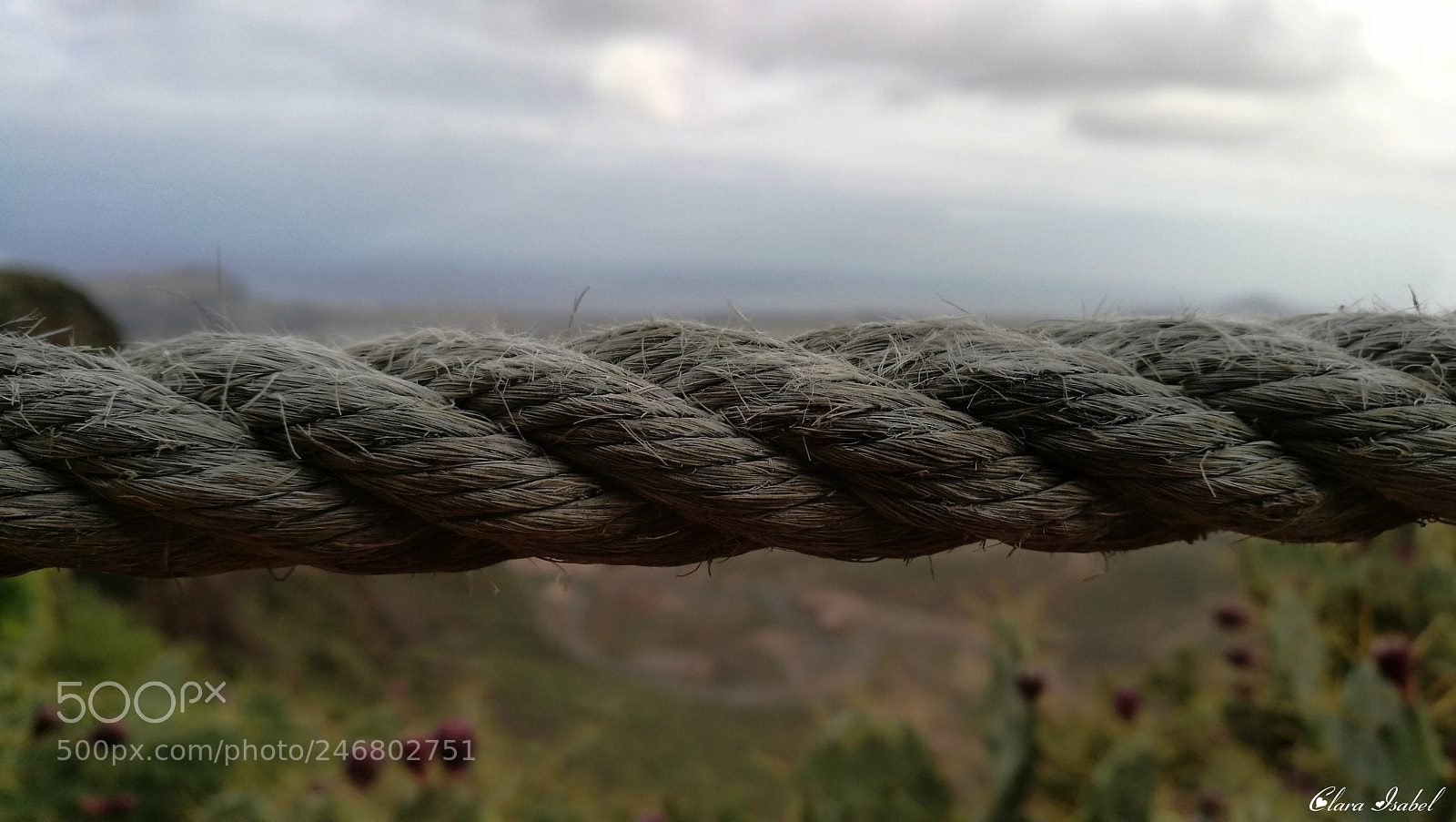 HUAWEI P9 Plus sample photo. Por el camino... photography