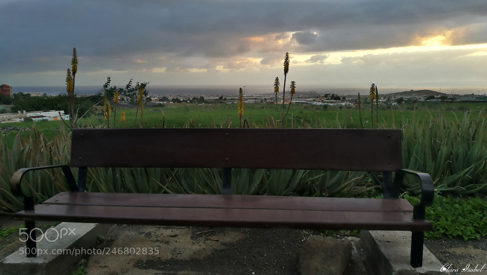 HUAWEI P9 Plus sample photo. Por el camino... photography