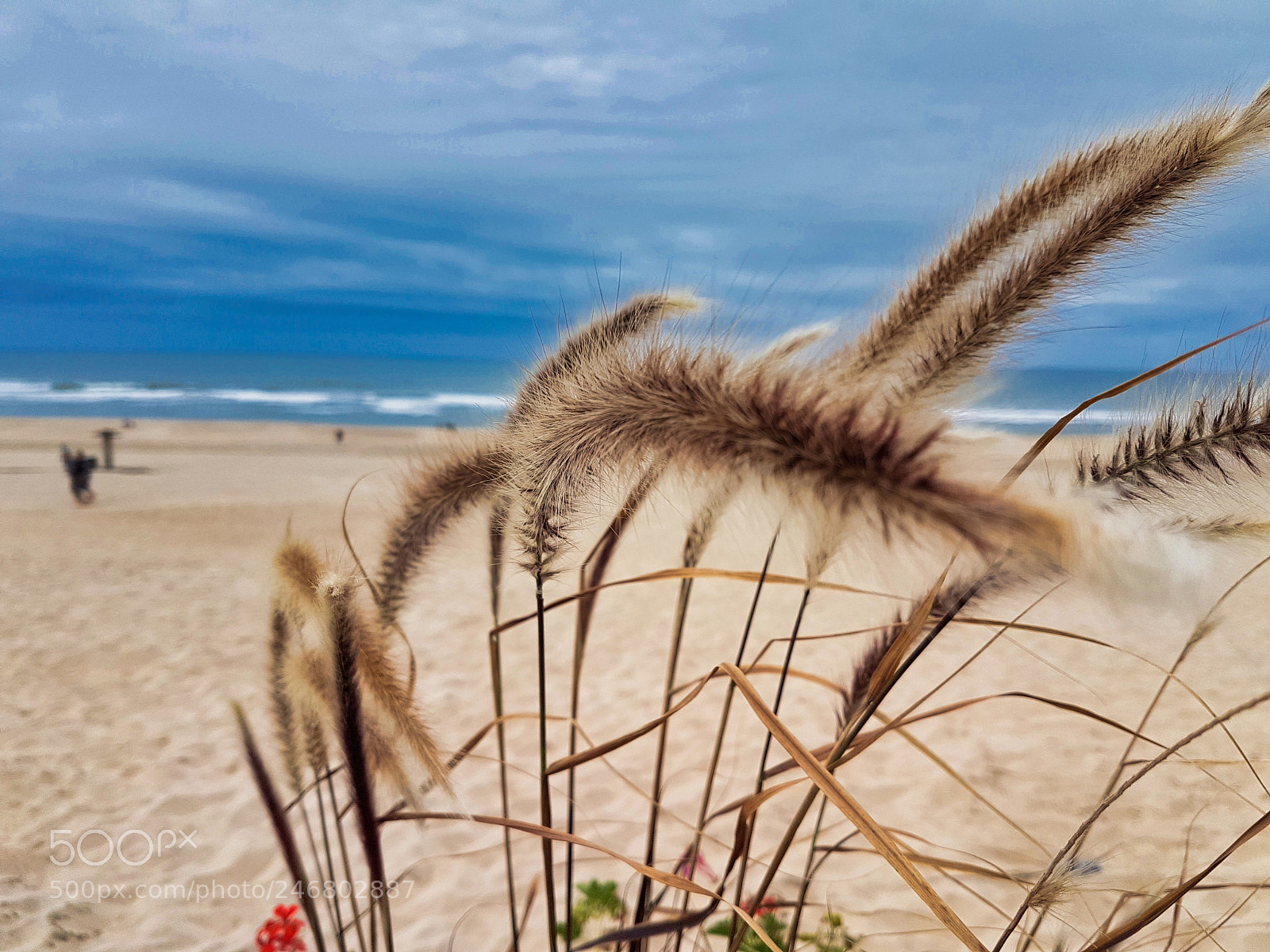 Samsung Galaxy S7 Edge sample photo. Beach view photography