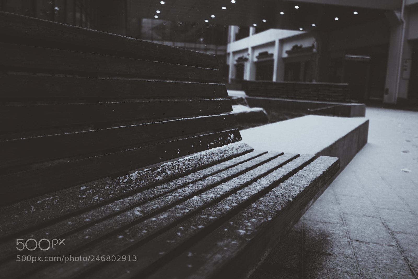 Sony a7 II sample photo. Untitled photography