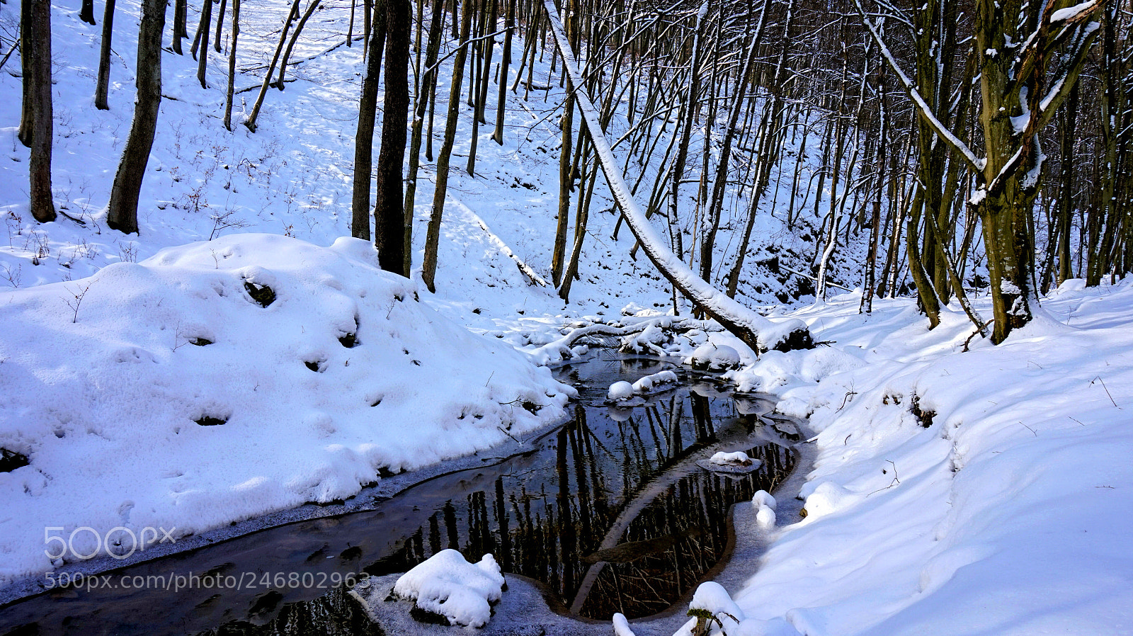 Sony Alpha a5000 (ILCE 5000) sample photo. Sunny morning in the photography