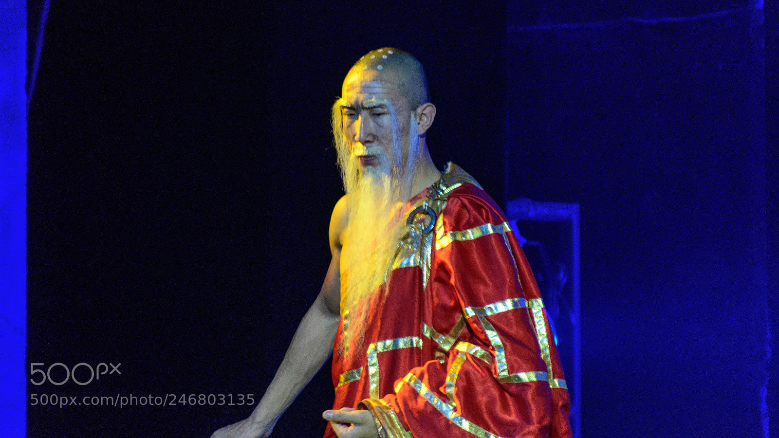 Nikon D500 sample photo. The legend of kung photography