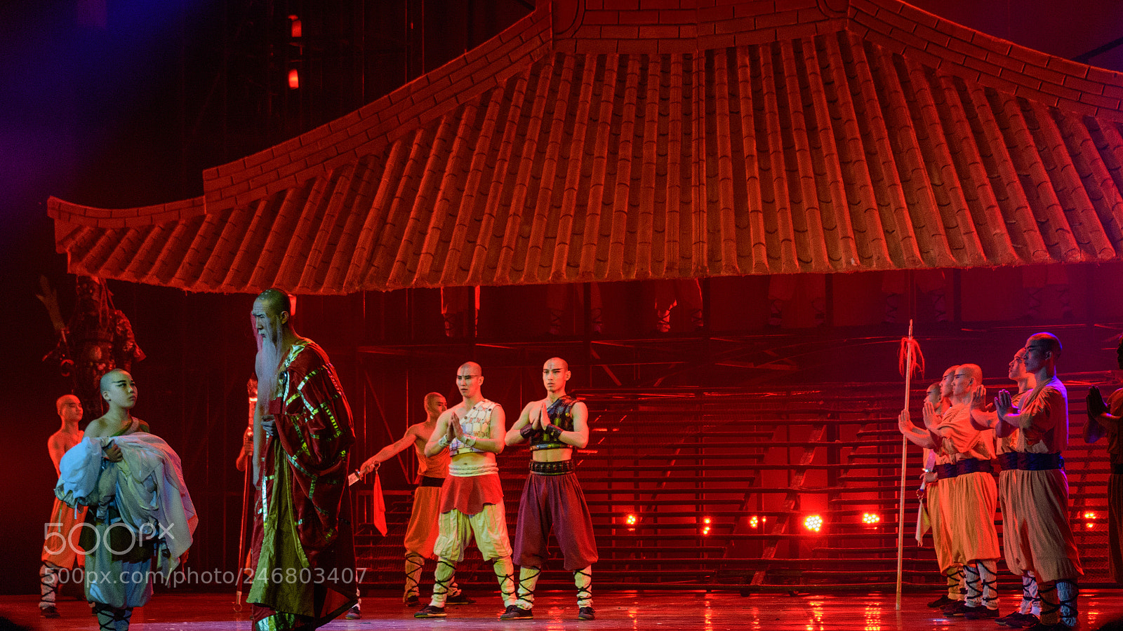 Nikon D500 sample photo. The legend of kung photography