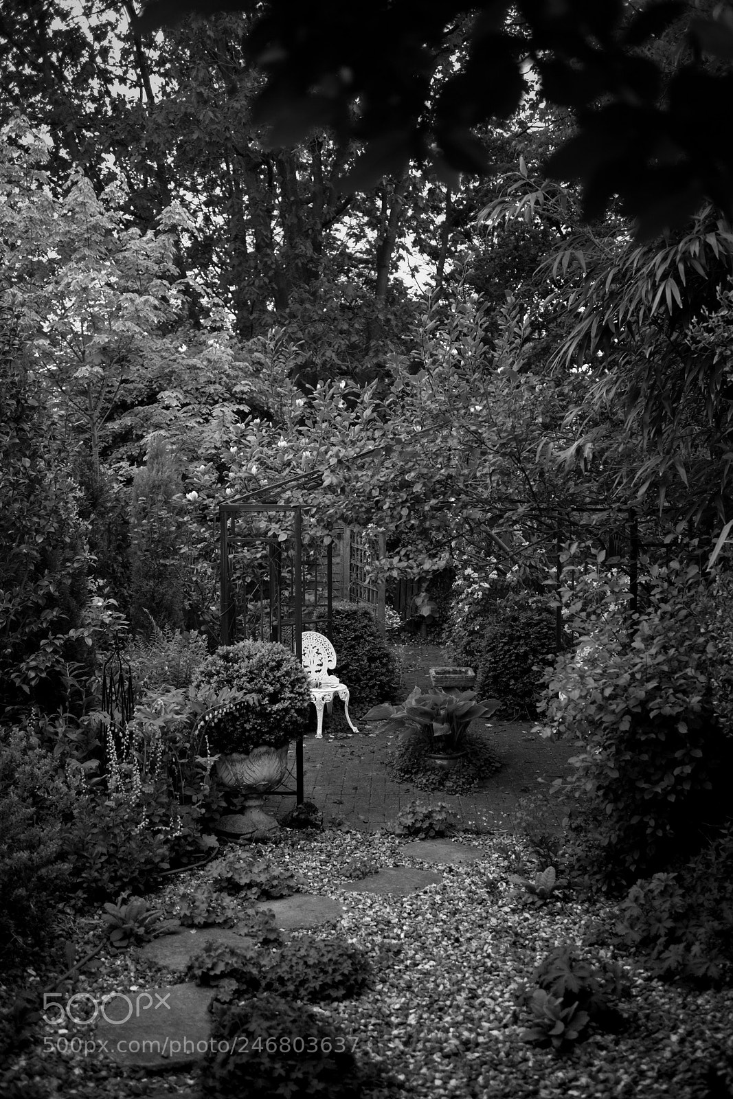 Canon EOS M sample photo. English garden photography