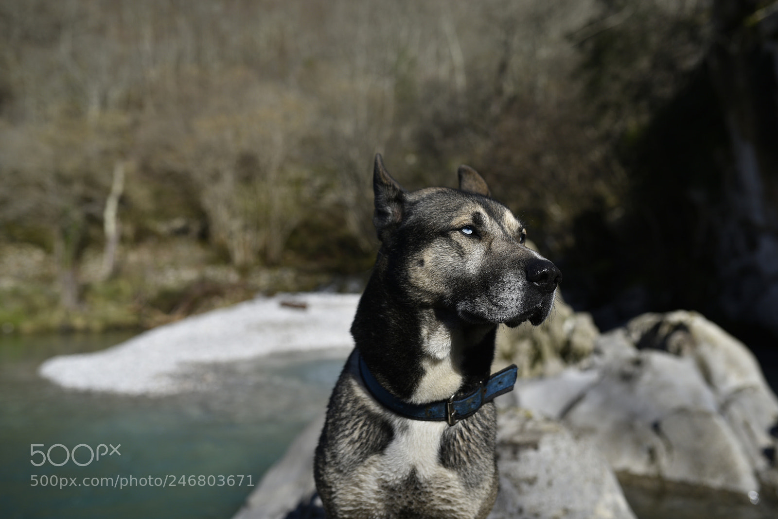 Sigma 35mm F1.4 DG HSM Art sample photo. Dsc photography