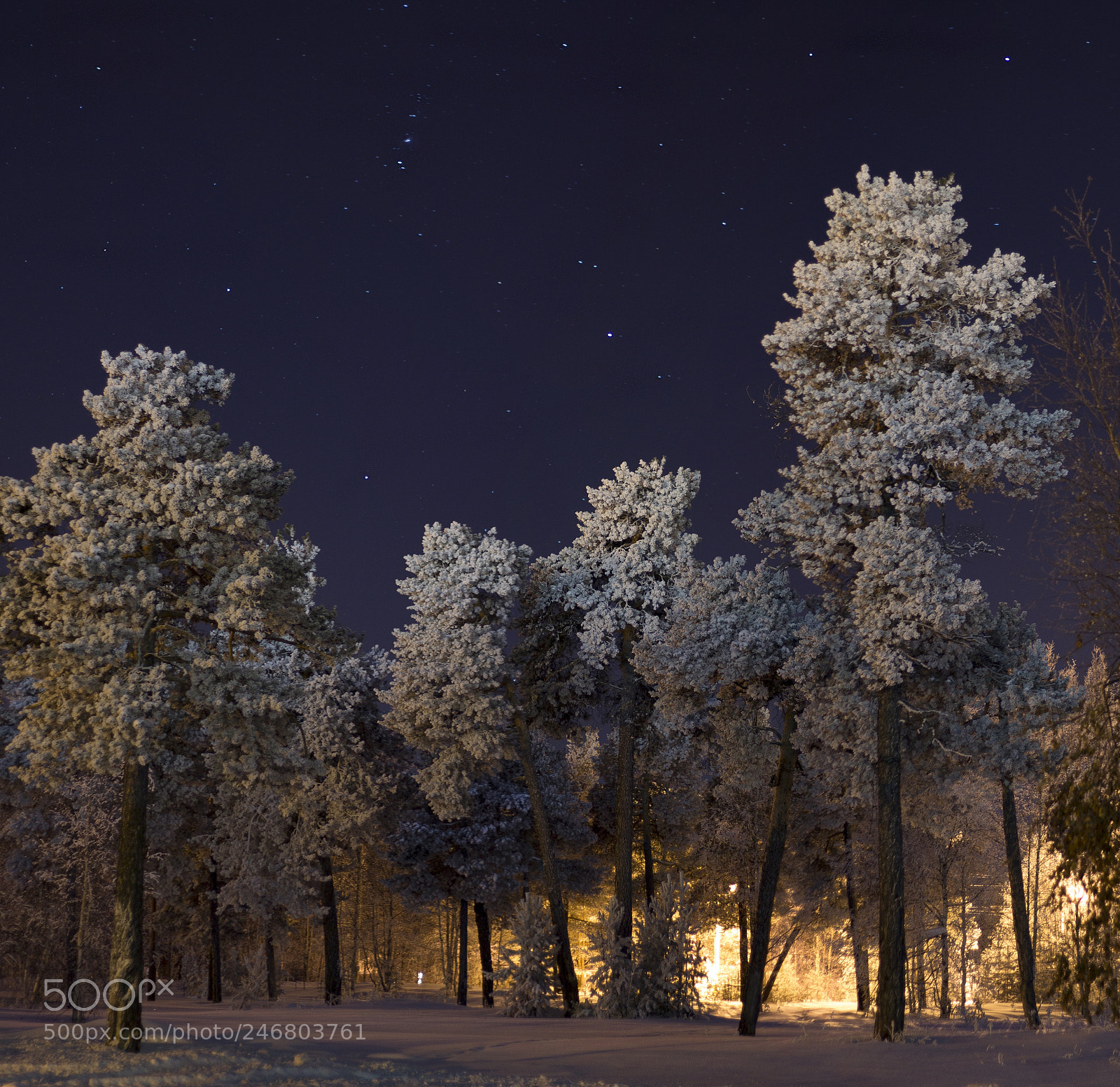 Canon EOS 1100D (EOS Rebel T3 / EOS Kiss X50) sample photo. Snow white night photography