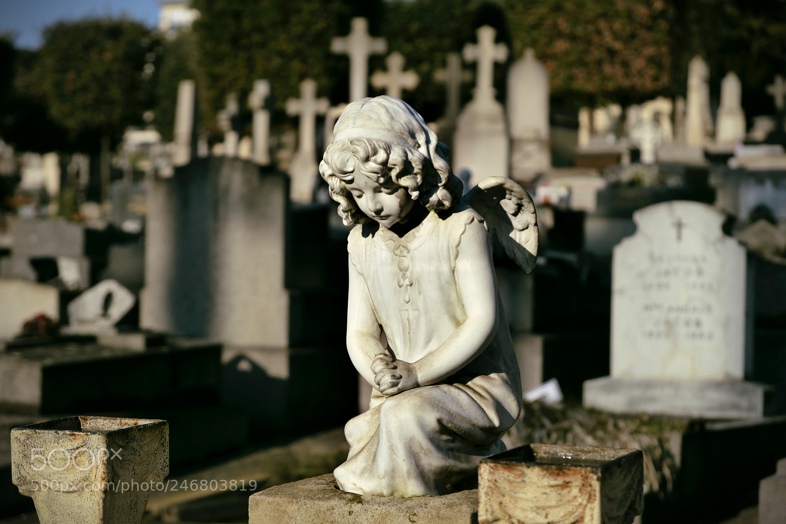 Fujifilm X-T2 sample photo. Last meditation photography