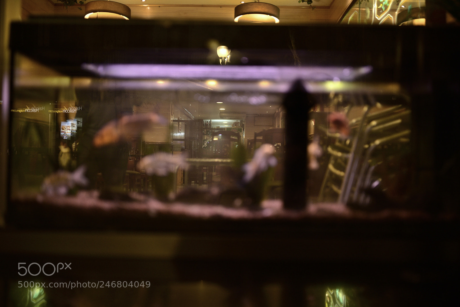 Sigma 35mm F1.4 DG HSM Art sample photo. Dsc photography
