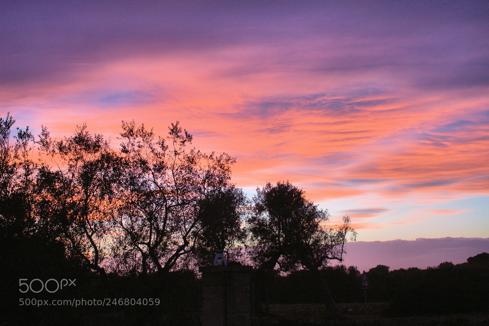 Canon EOS 500D (EOS Rebel T1i / EOS Kiss X3) sample photo. Tramonto gennaio photography