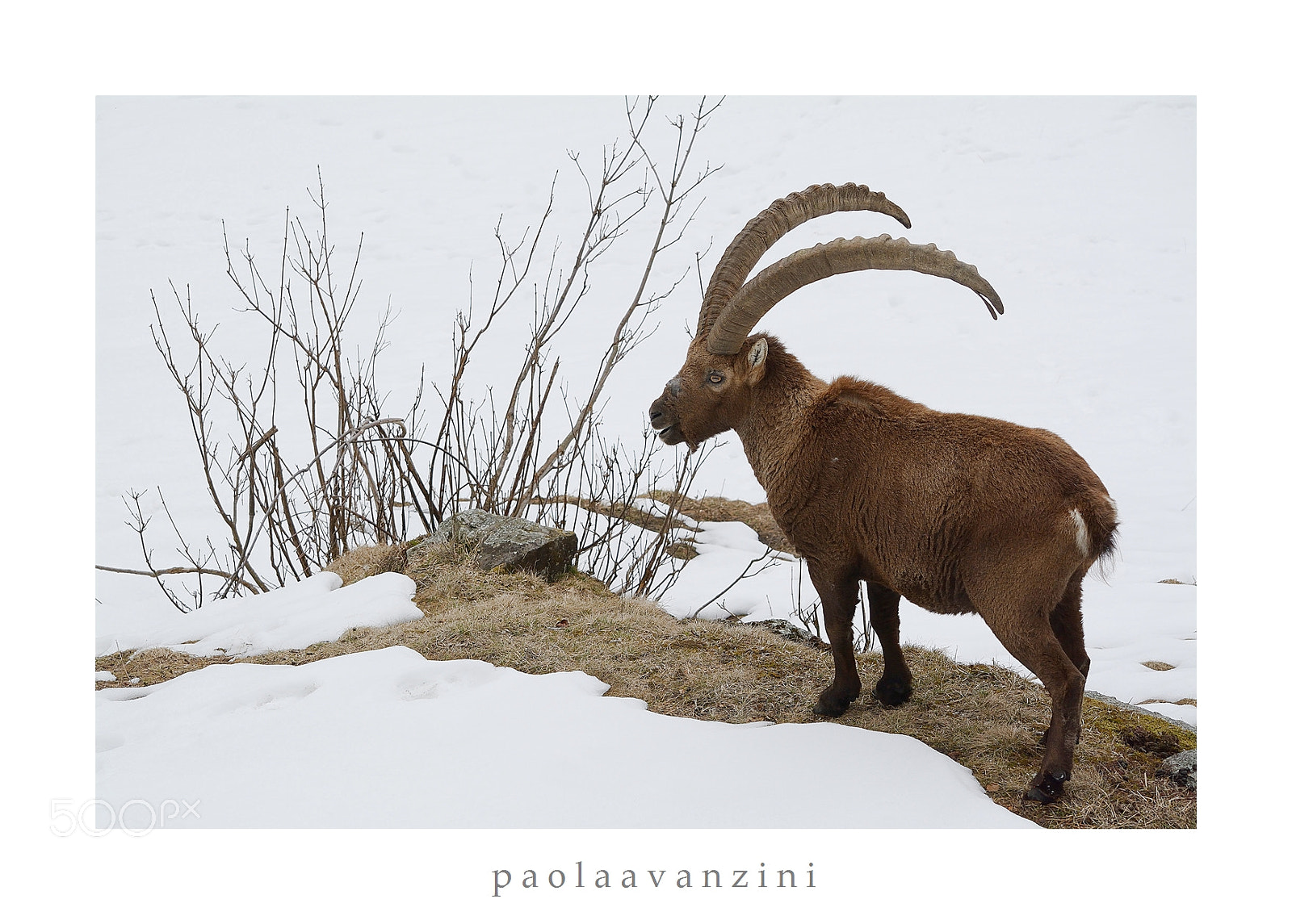 Nikon D7100 sample photo. L'ammaccato photography