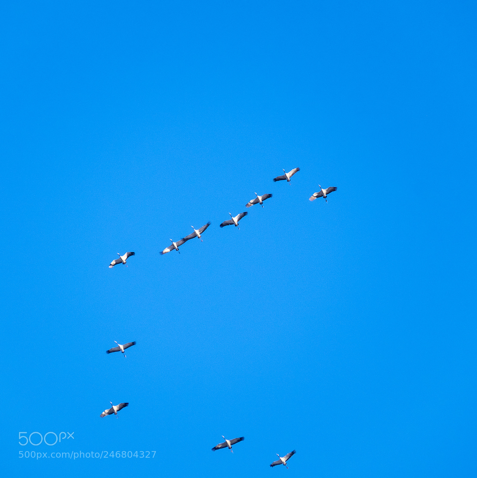 Fujifilm X-T1 sample photo. Flying into the sun photography