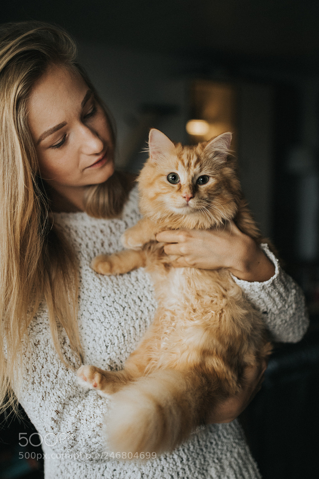 Canon EOS 5D Mark IV sample photo. Jenny and her cat photography