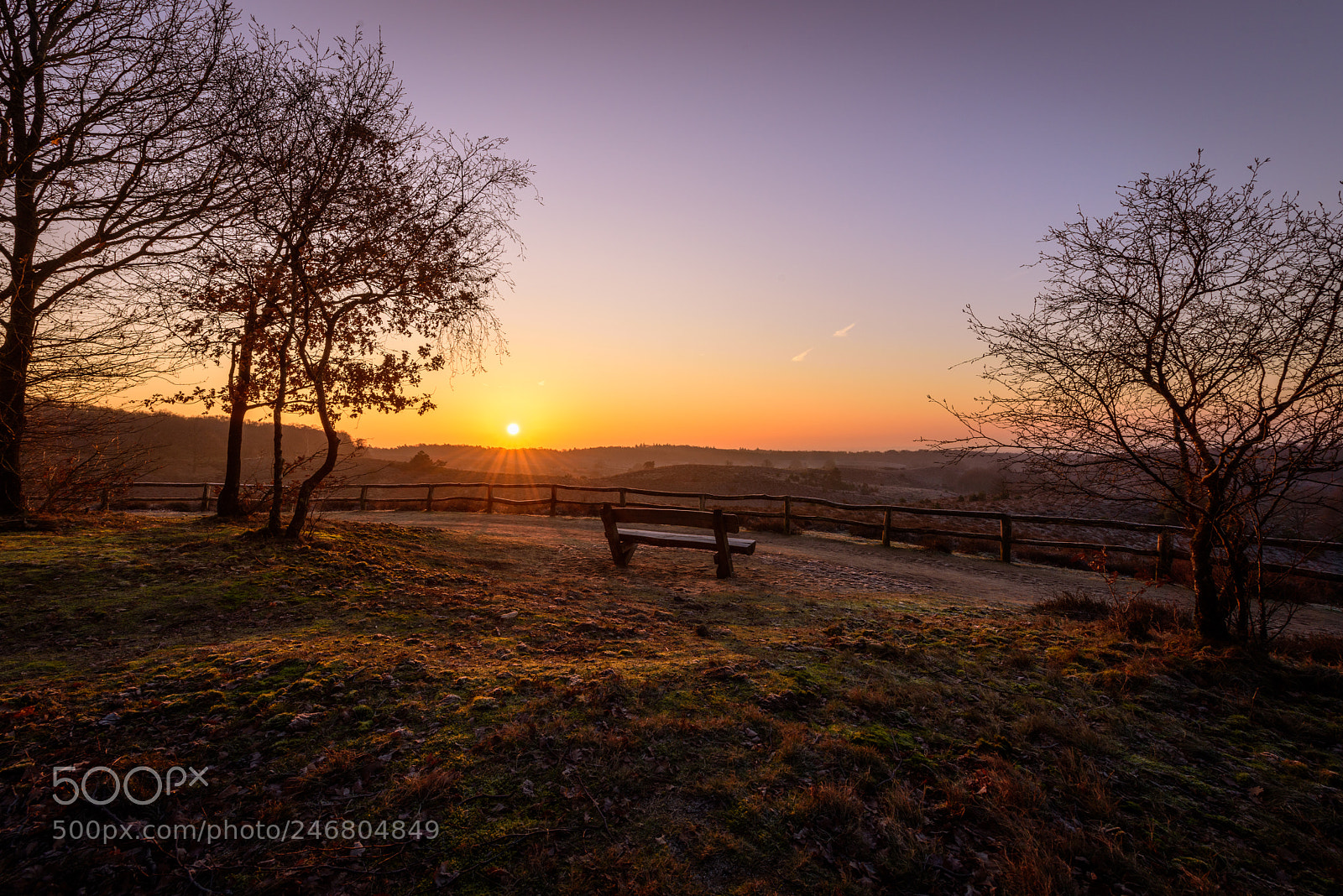 Nikon D810 sample photo. View from a hill photography