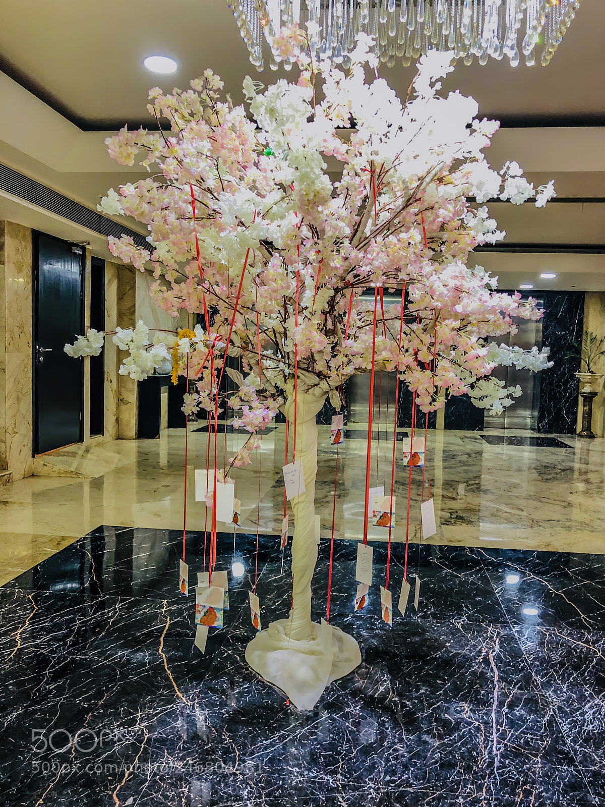 Apple iPhone X sample photo. Wish tree that grant photography