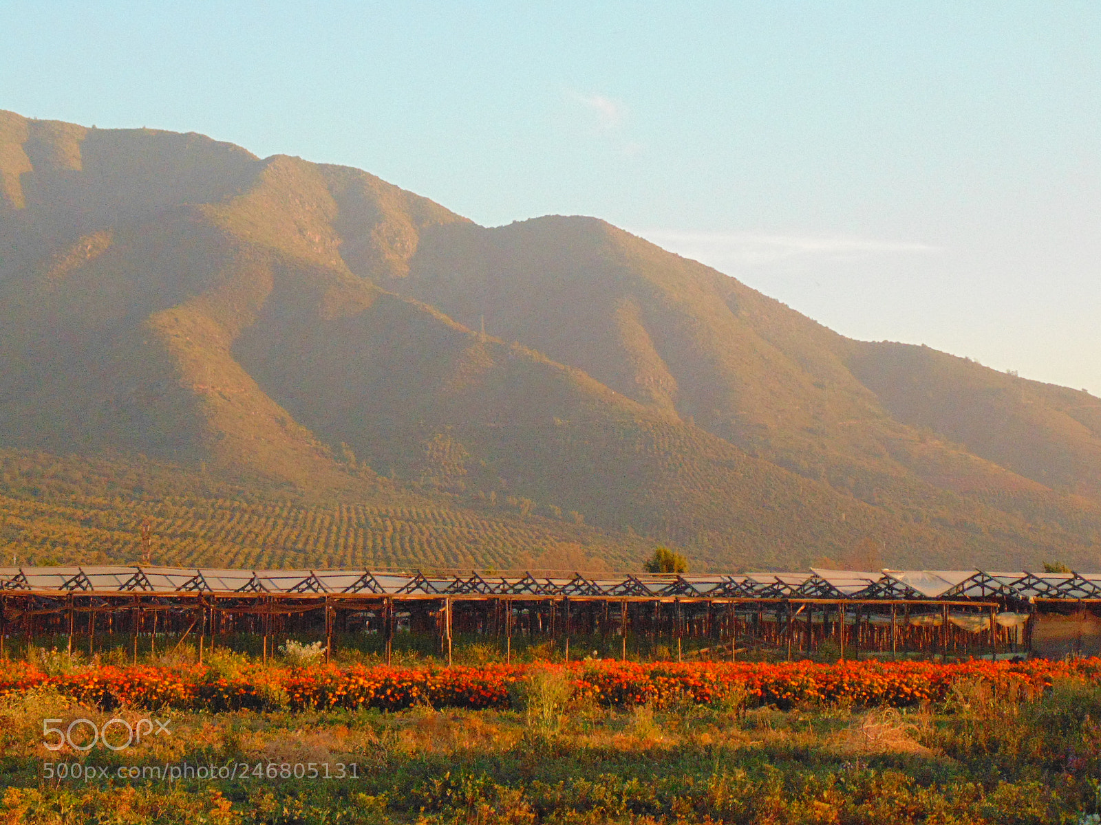 Sony Cyber-shot DSC-H200 sample photo. Ocoa al atardecer photography