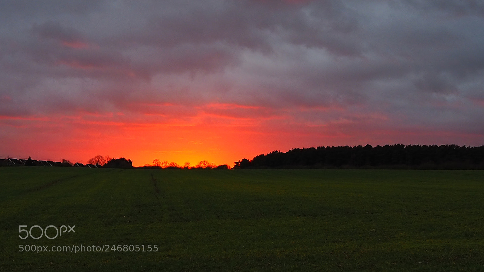 Olympus OM-D E-M10 III sample photo. Sunset, no filter photography