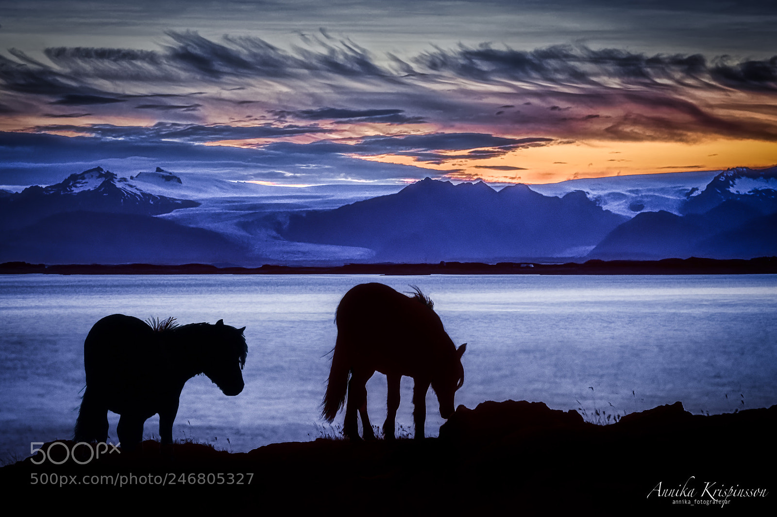 Nikon D7200 sample photo. Icelandic horses photography