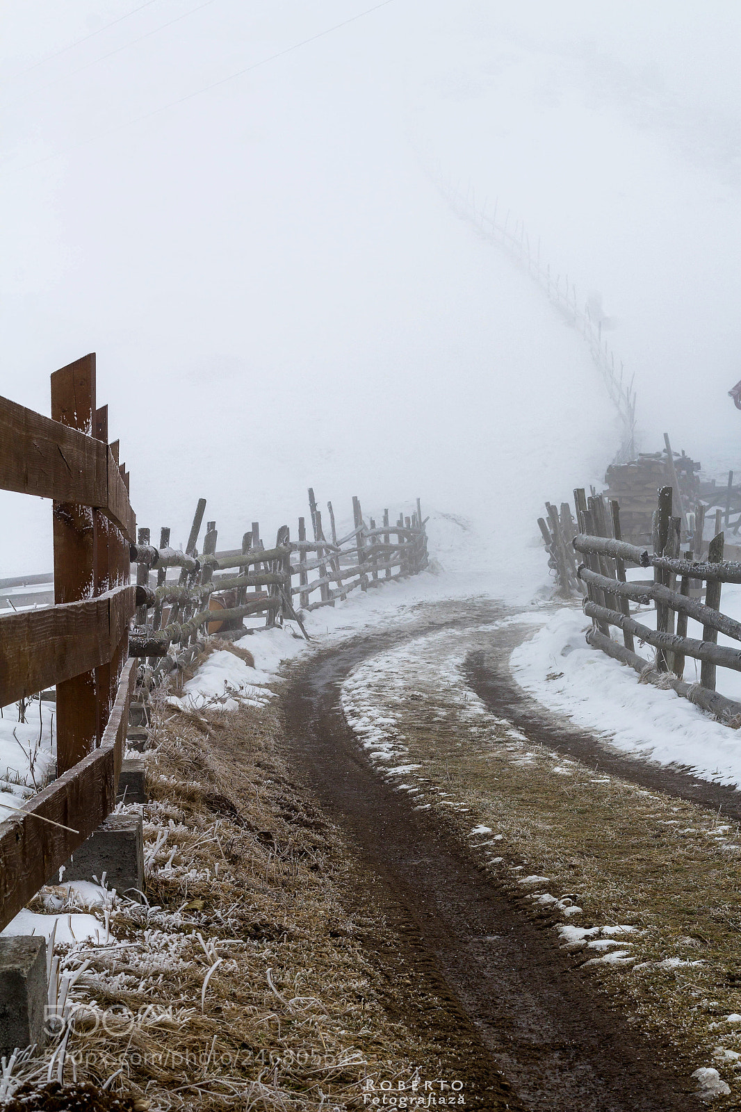 Canon EOS 1200D (EOS Rebel T5 / EOS Kiss X70 / EOS Hi) sample photo. Path to the unknown photography