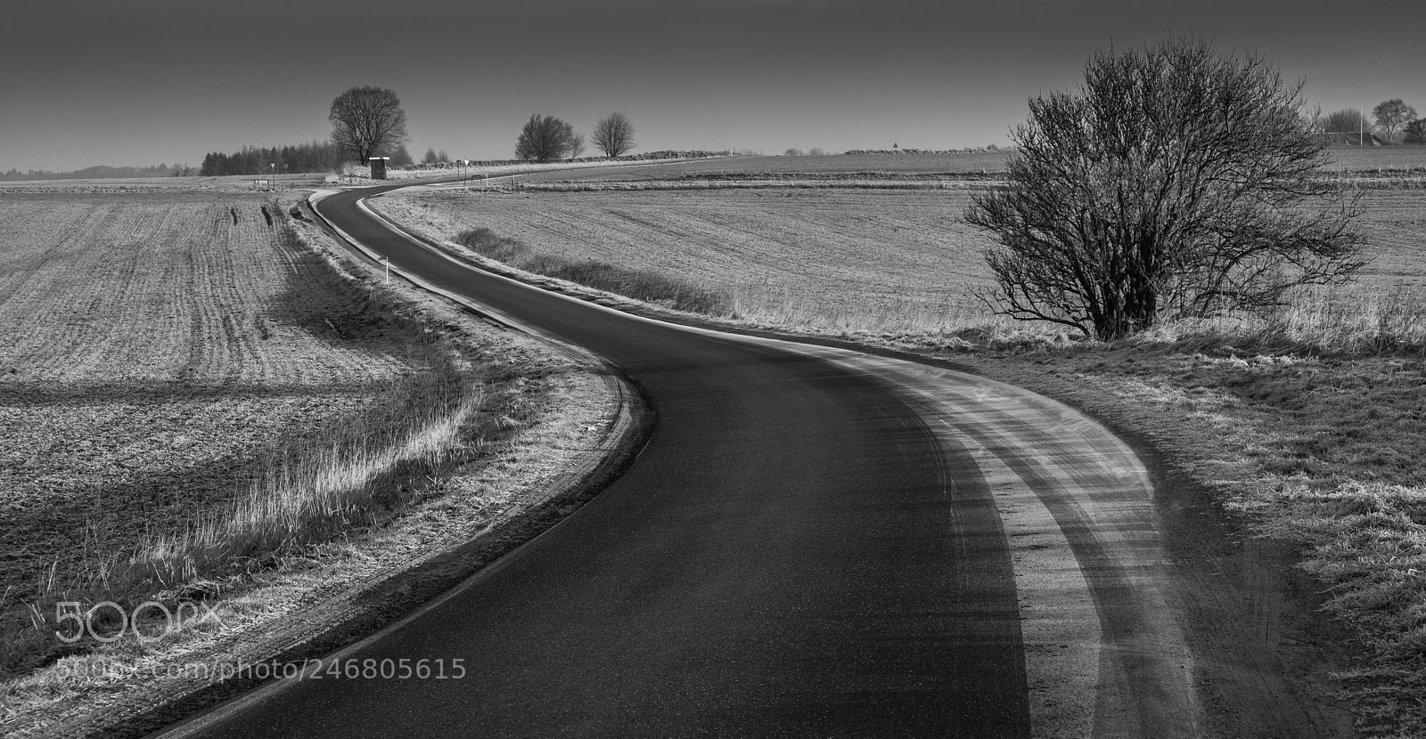 Fujifilm X-T20 sample photo. The road in the photography