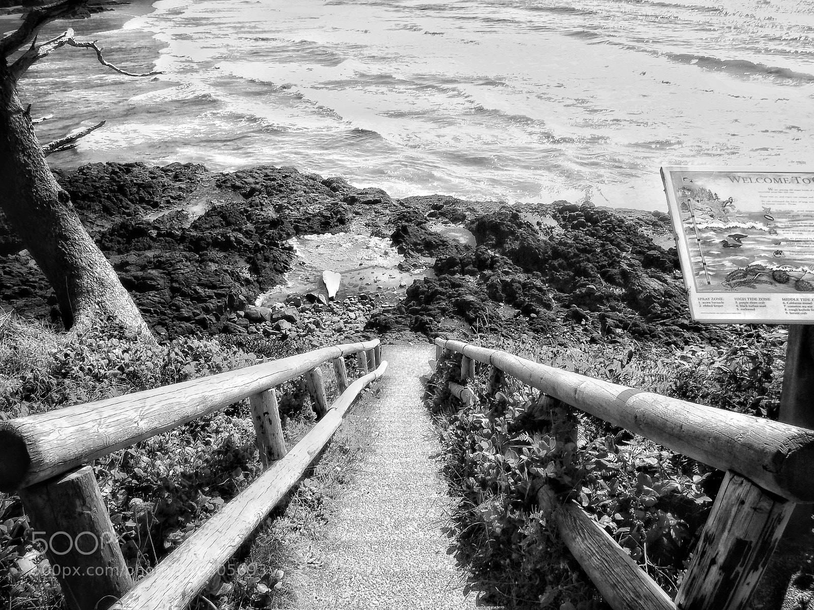 Olympus PEN E-PL1 sample photo. “a little guidance” photography