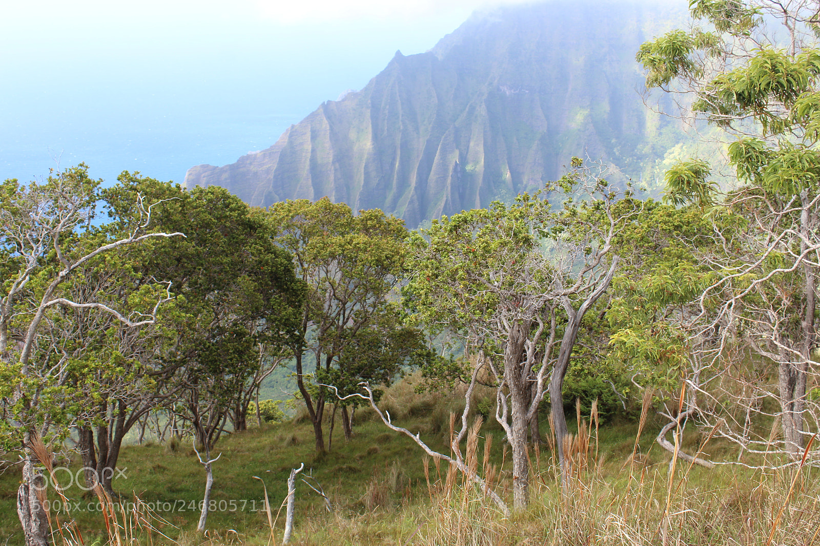 Canon EOS 1200D (EOS Rebel T5 / EOS Kiss X70 / EOS Hi) sample photo. Hawaii paradise photography