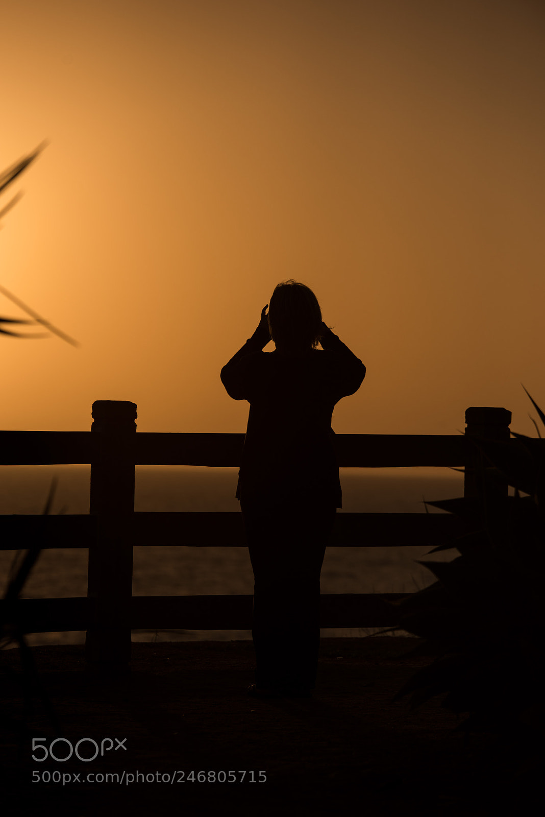 Nikon D810 sample photo. Shadwo4 photography