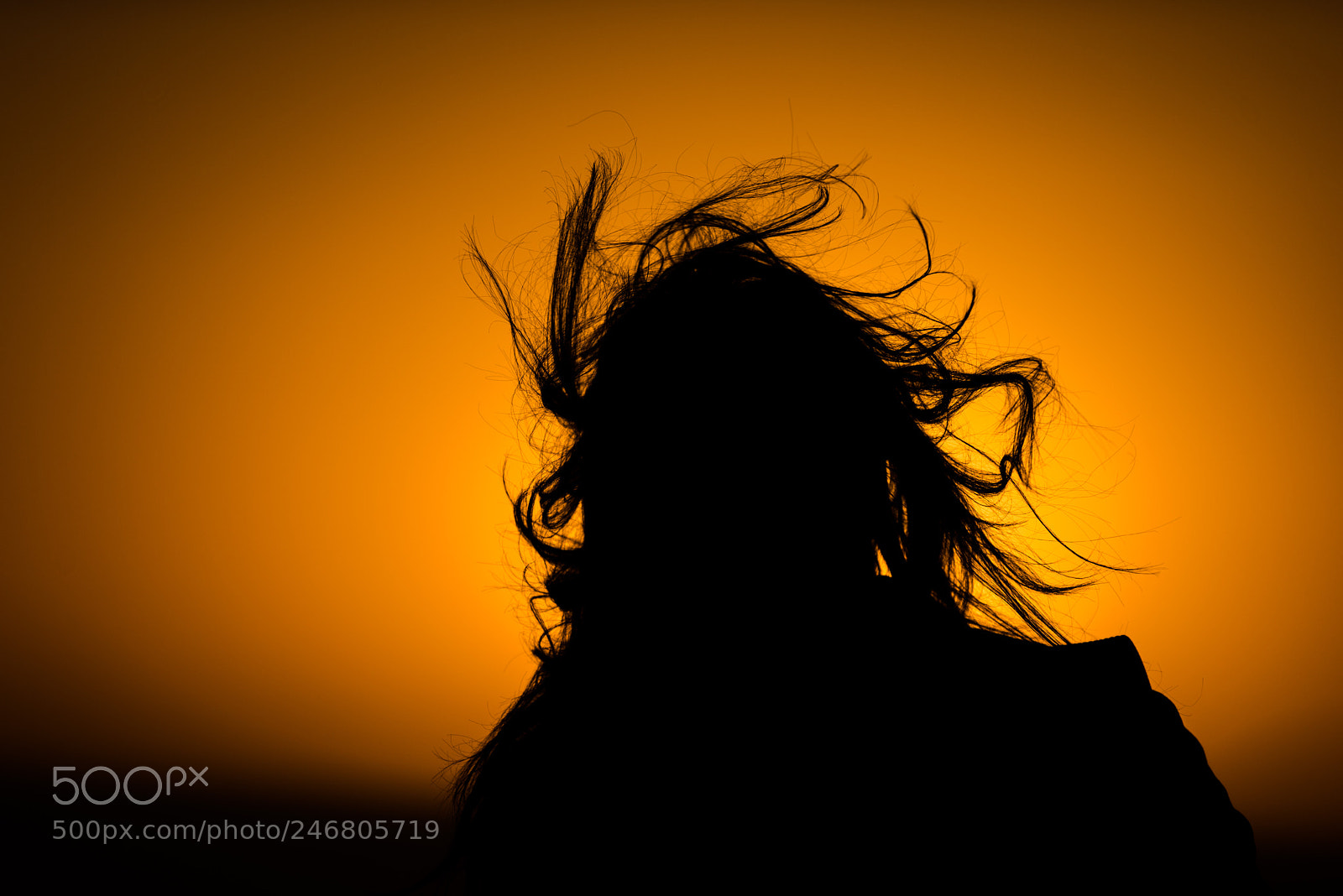 Nikon D810 sample photo. Shadows5 photography