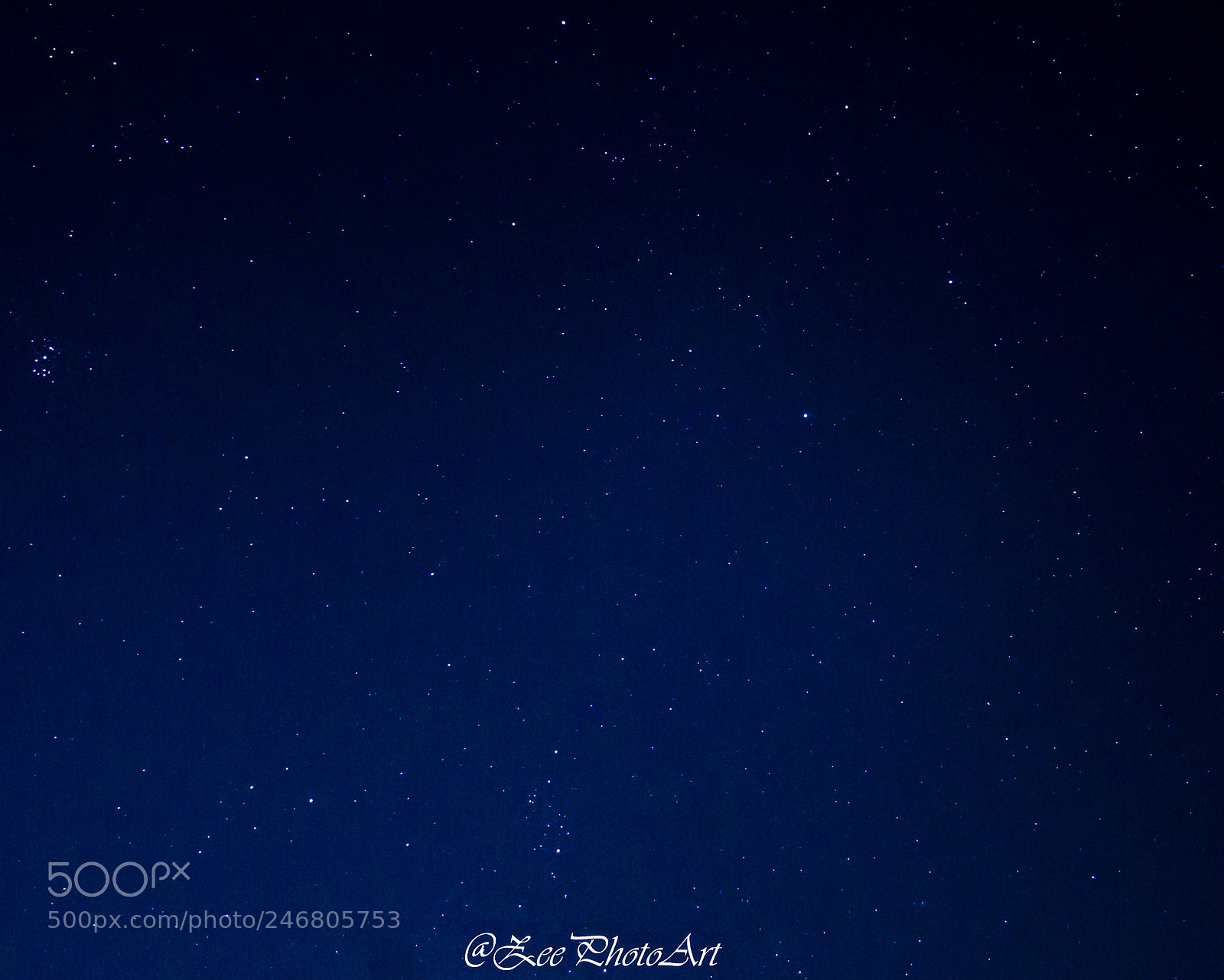 Nikon D5100 sample photo. A starry affair photography