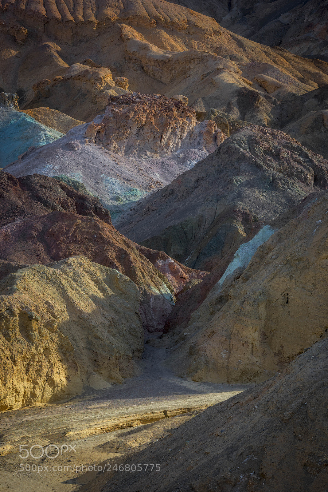 Nikon D810 sample photo. Planet of the apes photography