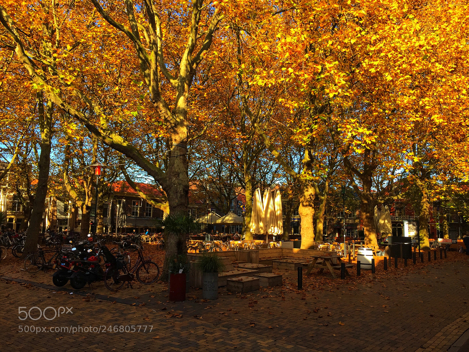 Apple iPhone 6 sample photo. Delft 1 photography