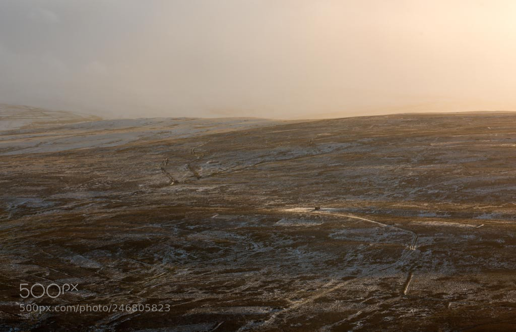 Nikon D810 sample photo. Furrowed landscape weardale photography