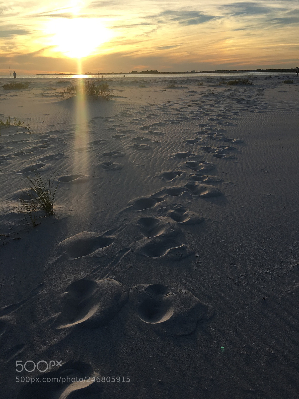 Apple iPhone 6s sample photo. The path photography