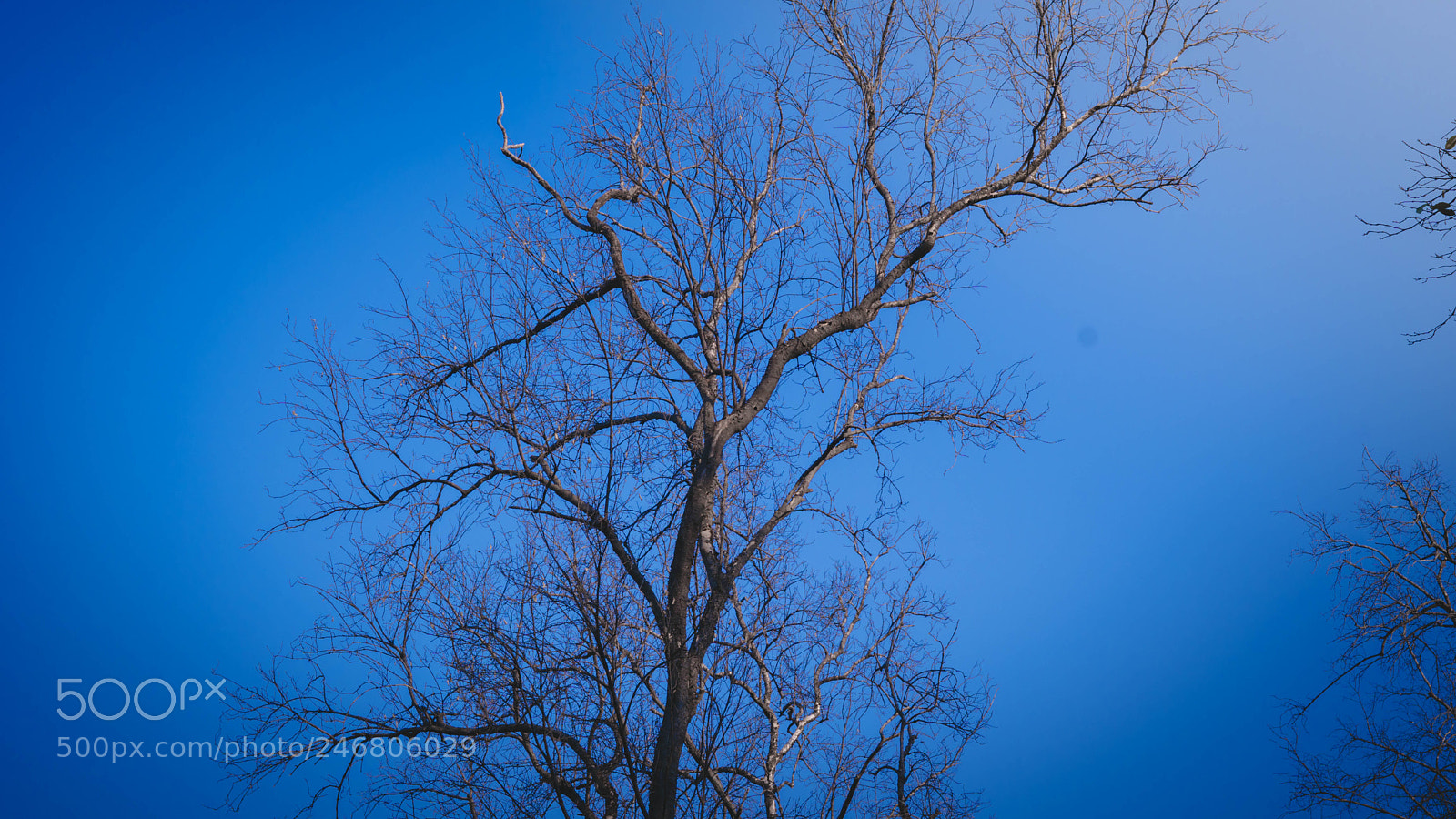 Sony a6300 sample photo. Dsc photography