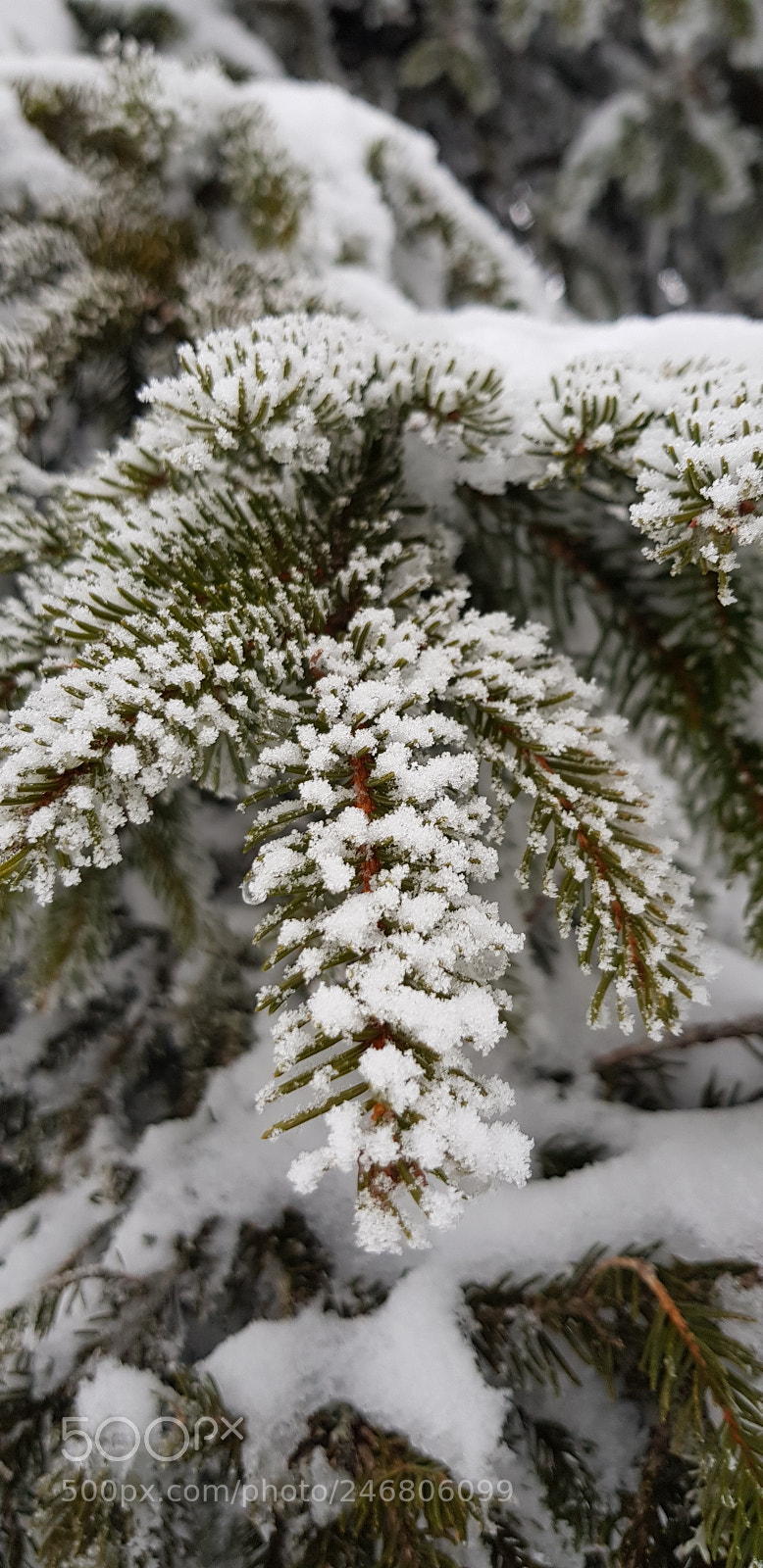 Samsung Galaxy S8 sample photo. Untitled photography